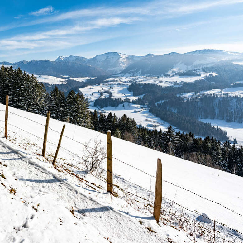 Ausblicke auf die verschneiten Allgäuer Gipfel Aussicht auf die verschneite Nagelfluhkette vom Kapf in Oberstaufen