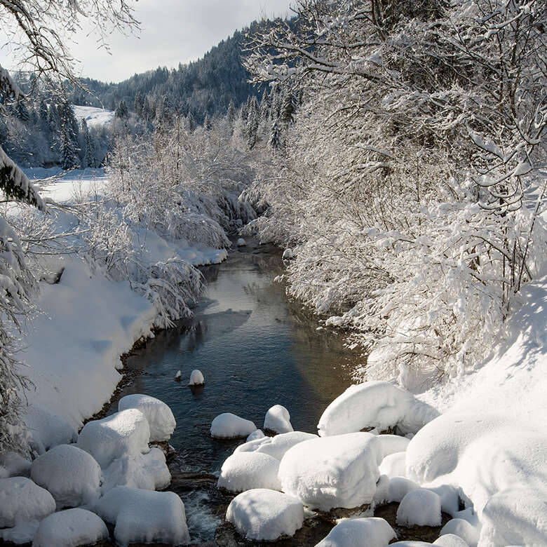Winterwandern mit der Familie im Allgäu Winterstimmung an der Weißach